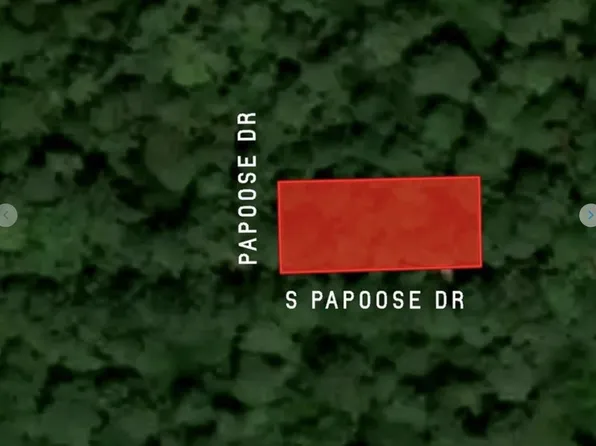 30810 Papoose Dr, Hempstead, TX 77445