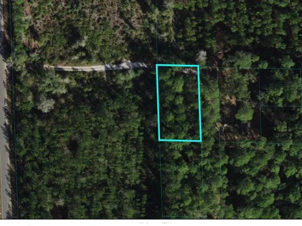 NE 65th Ave Lot 1, Citra, FL 32113