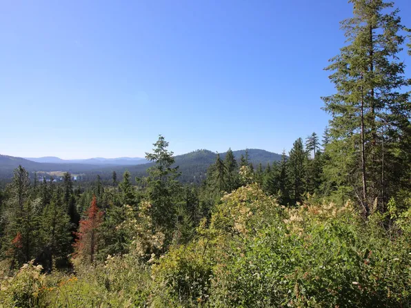 Buck Creek Rd, Newport, WA 99156