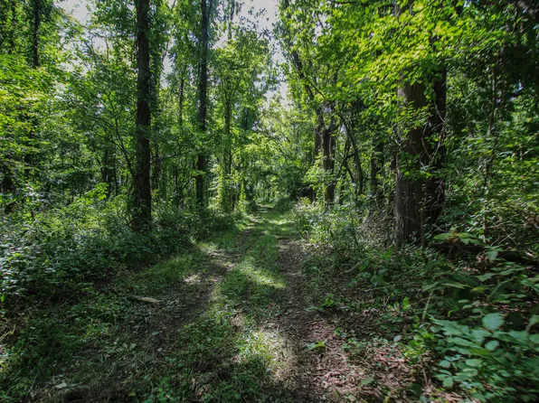 V/l Millard Rd, Three Rivers, MI 49093