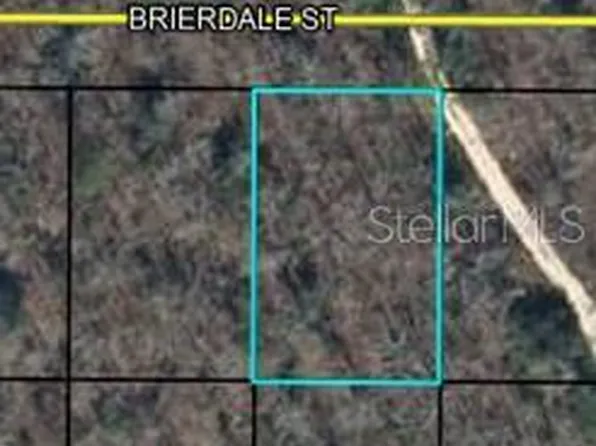 6 Brierdale St, Chipley, FL 32428