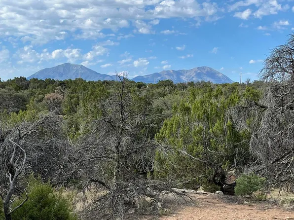 Buffalo Dr N #95, Walsenburg, CO 81089
