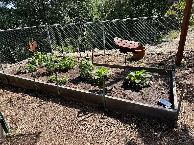 720 Sky Mountain Ln — Photo 19