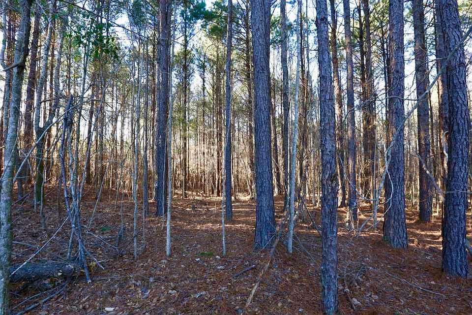 2nd image of 17 Dogwood Dr