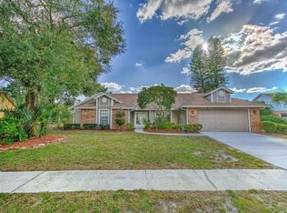 1407 Holleman Dr, Valrico, FL 33596