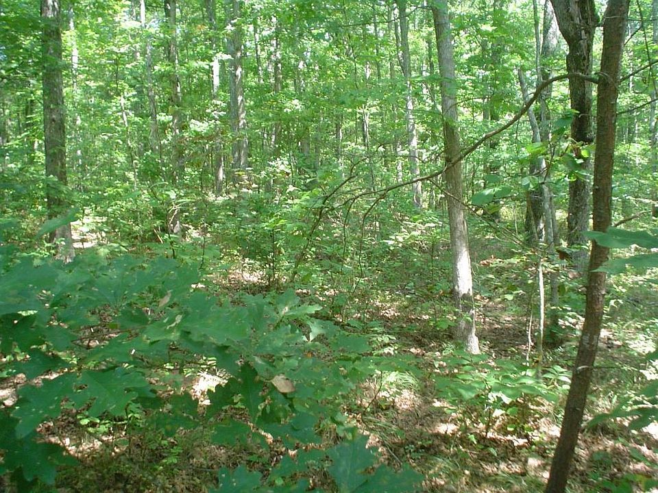 1st image of 113 Seyton Dr