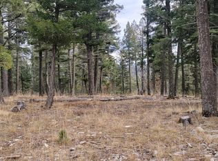 118 Big Dipper, Cloudcroft, NM 88317