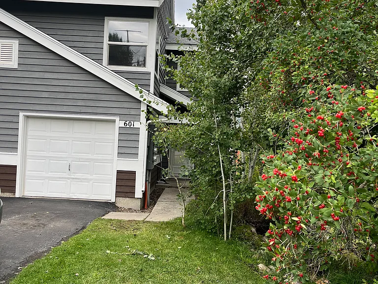 601 Mountain Vista Cir — Photo 2