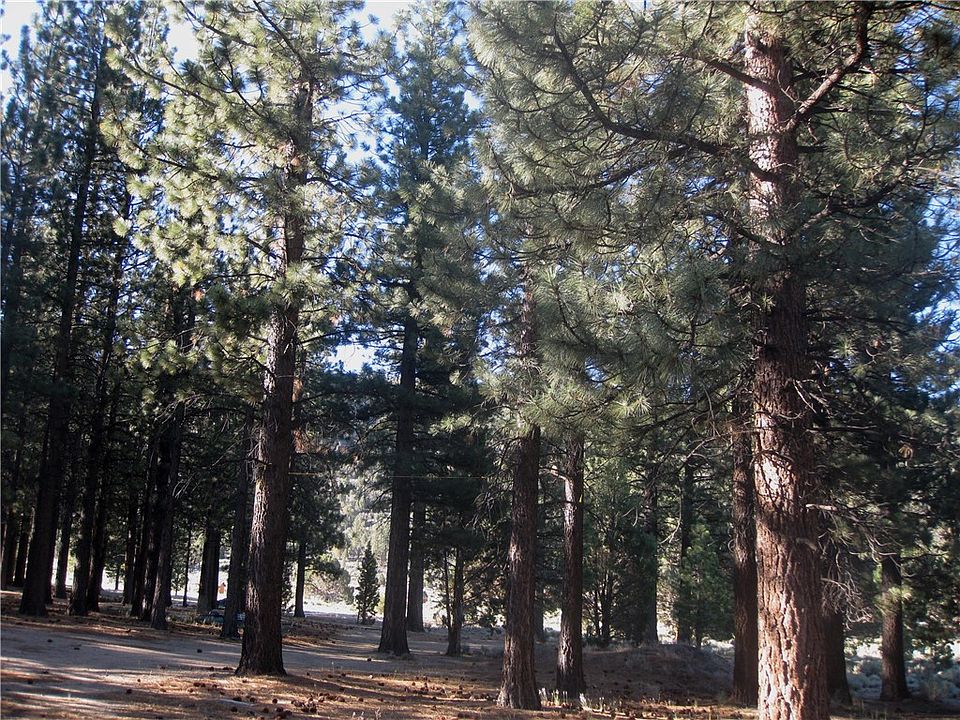 1st image of 2818 Erwin Ranch Rd Lot 18