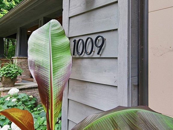 4th image of 1009 Greenleaf Ct
