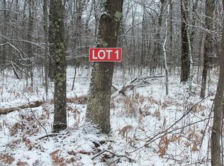 LOT 1 Blackberry Rd, Trego, WI 54888