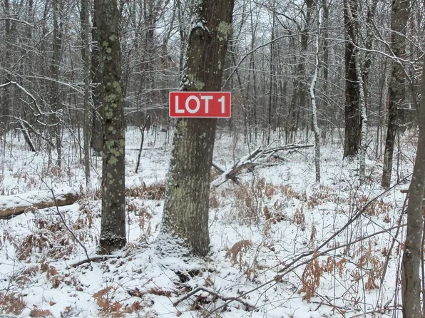 LOT 1 Blackberry Rd, Trego, WI 54888