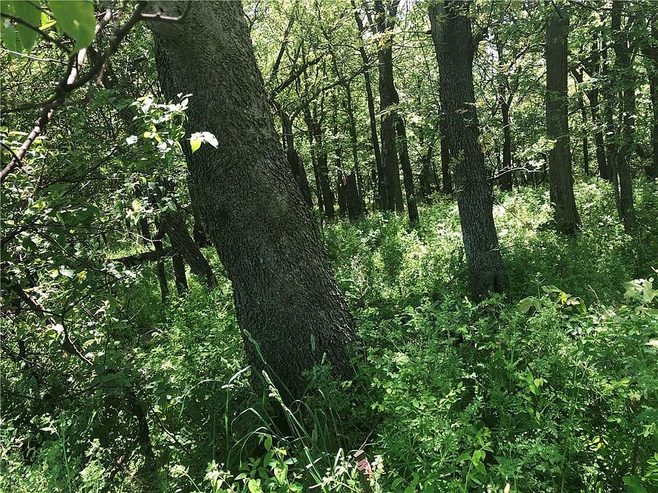2nd image of Gem Rd