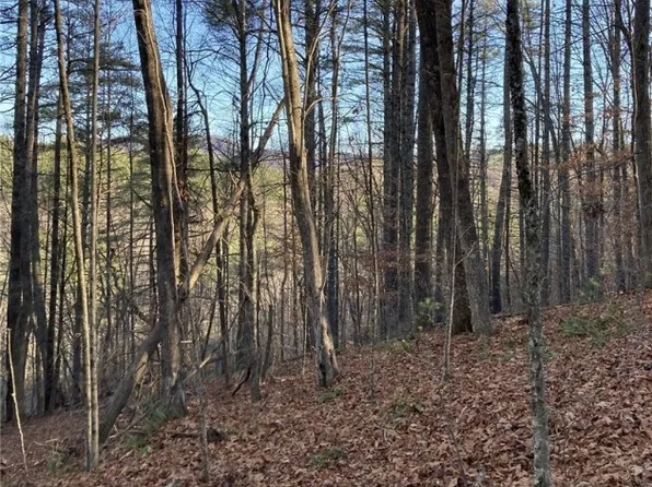 Lots 1 & 2 Toe River Lane, Newland, NC 28657
