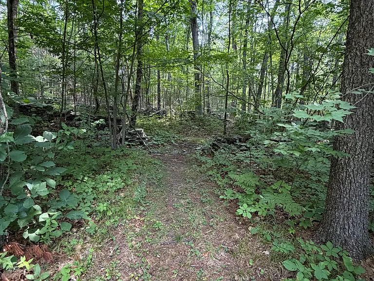 Woodland Dr — Photo 25