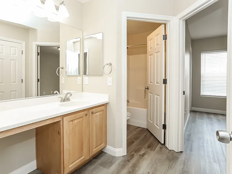 528 Fork Mesa Ct — Photo 10