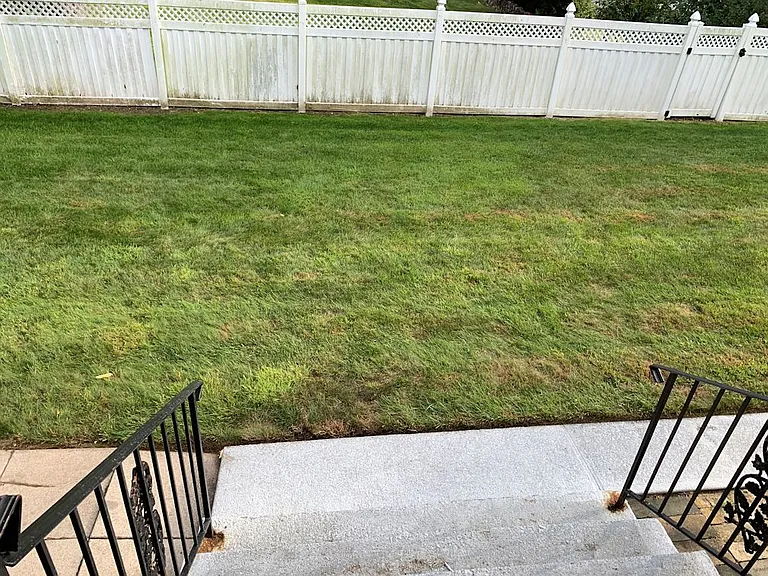 Backyard - 2nd photo
