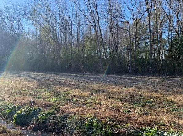 1TBD Sidney Cherry Grove Rd., Clarendon, NC 28432