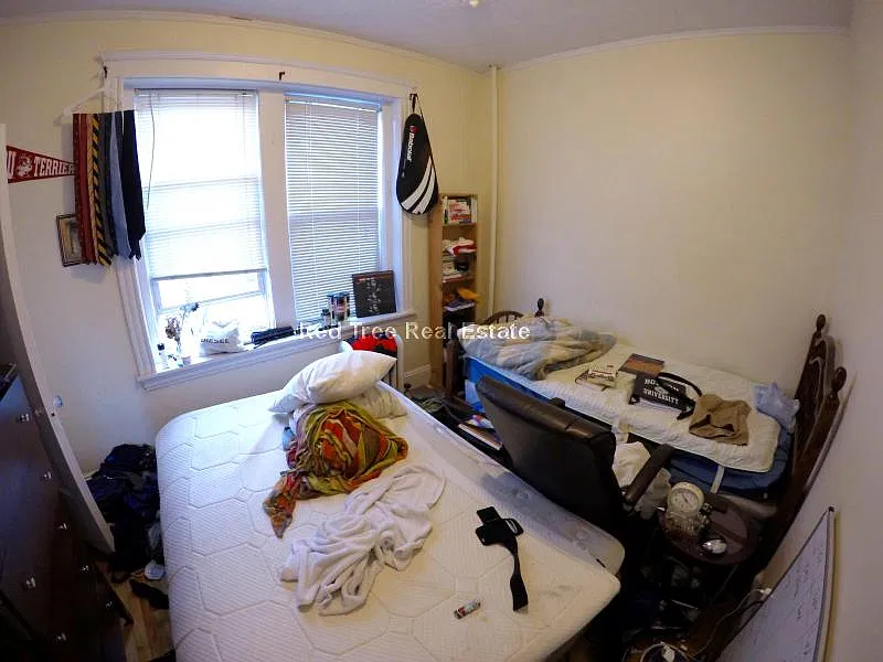 3 bed, 920 sqft, $4,500 — Photo 3