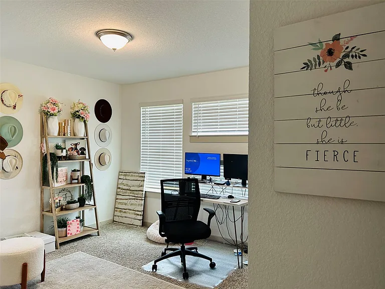 29403 Georgia Throw Ln — Photo 5