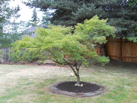 5th image of 3823 242nd Ave SE