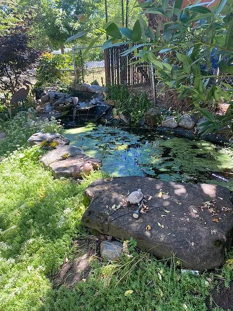 1 bed, 750 sqft, $1,600 — Photo 3