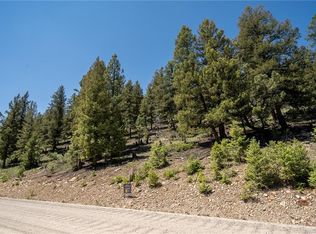 Redhill Rd, Fairplay, CO 80440