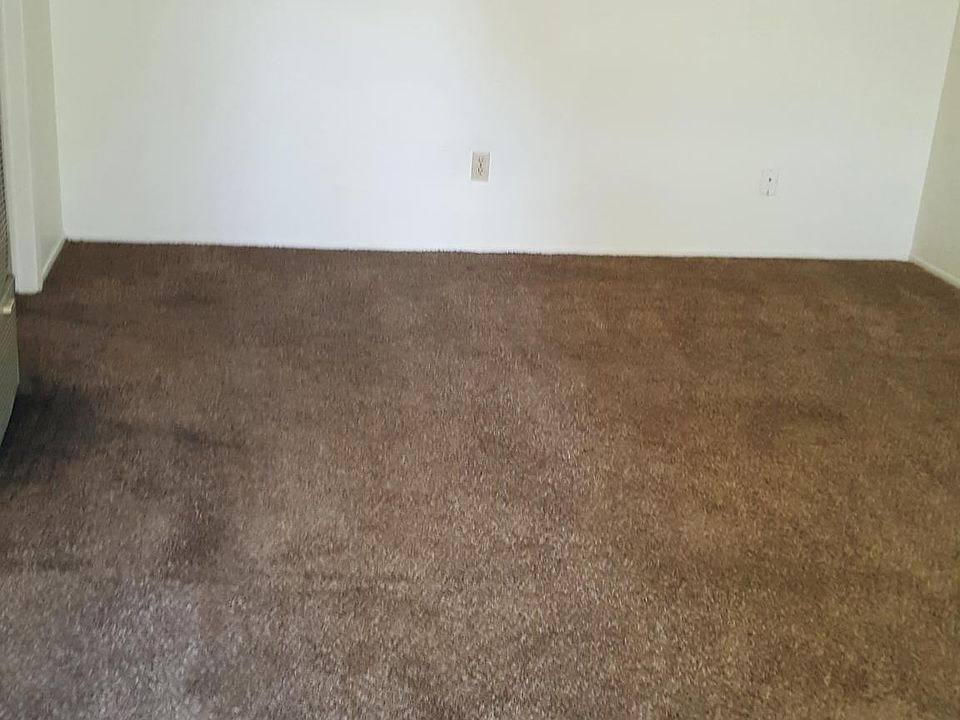 Living/bedroom area carpet to be cleaned 5/1/2018