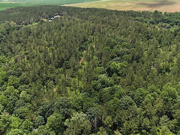Dji Fly 20260531 123346 0005 1780933231947 Photo