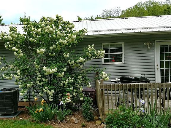 4th image of 218 Marion Branch Rd
