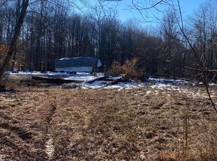 9929 S Pine Ave, Grant, MI 49327