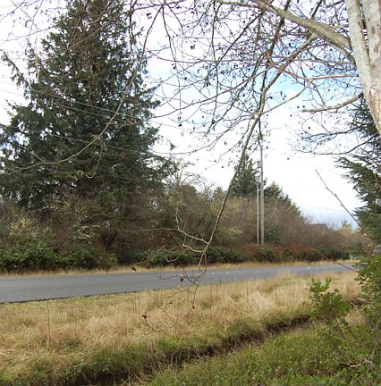 2nd image of 920 Mount Olympus Ave SE