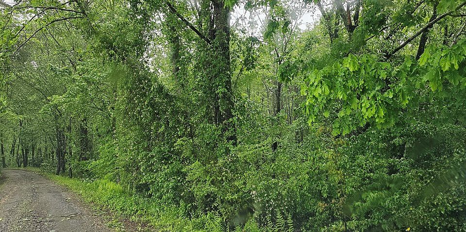 2nd image of LOT 4C Riverbend Trl