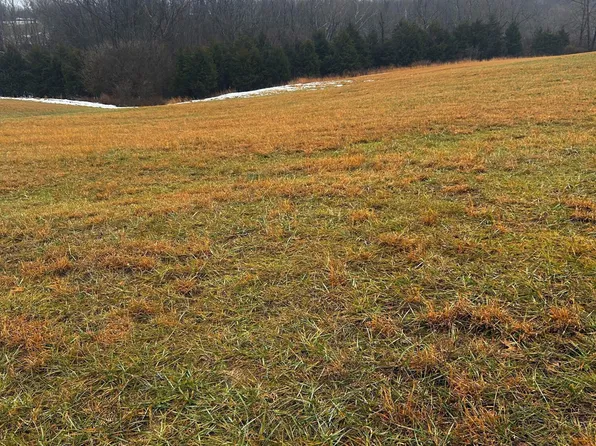 TRACT 1B Ashes Creek Ln, Bloomfield, KY 40008