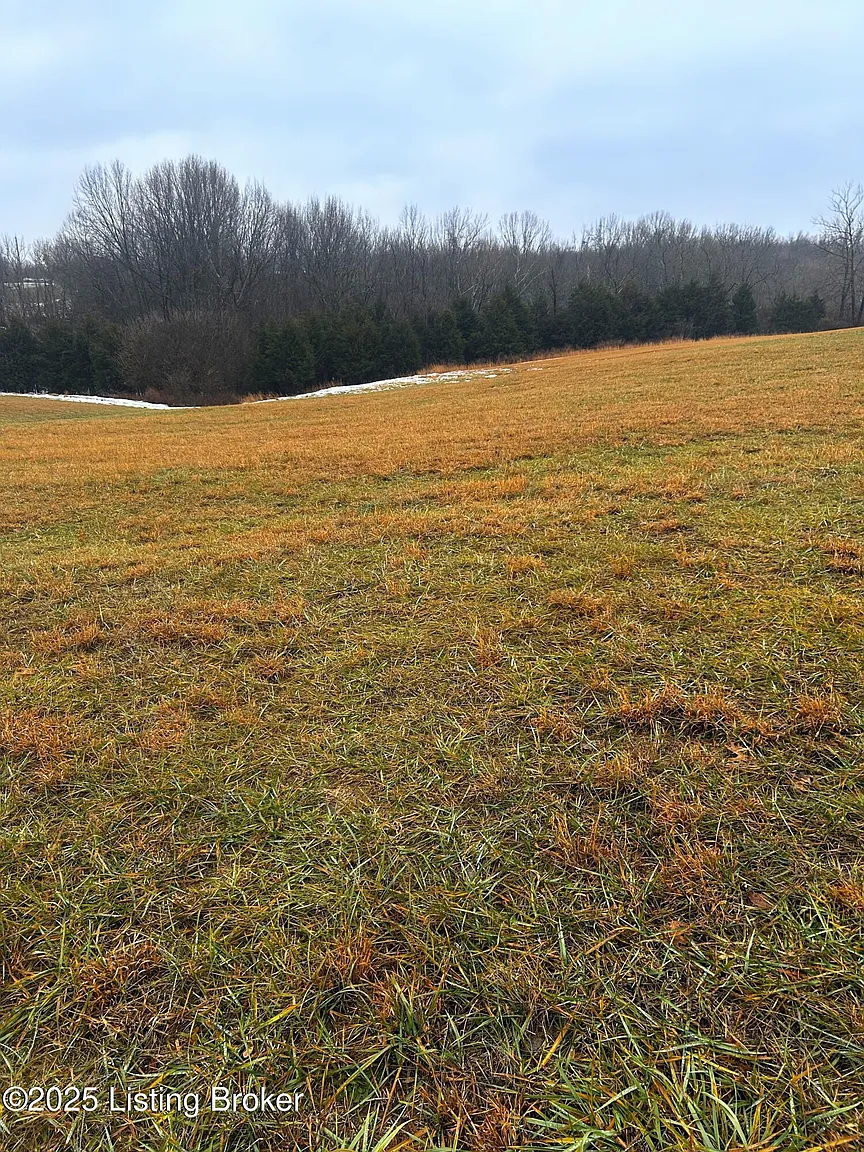 TRACT 1B Ashes Creek Ln photo 1