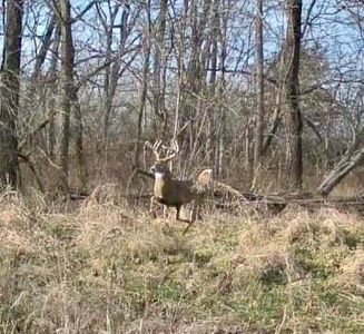 Hickory Grove Rd, Richmond, MO, 64085