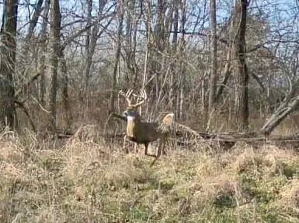 Hickory Grove Rd, Richmond, MO 64085