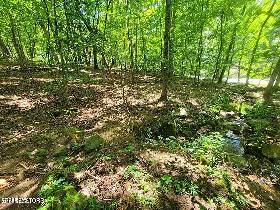 2nd image of 161 Sugarbush Cir #350