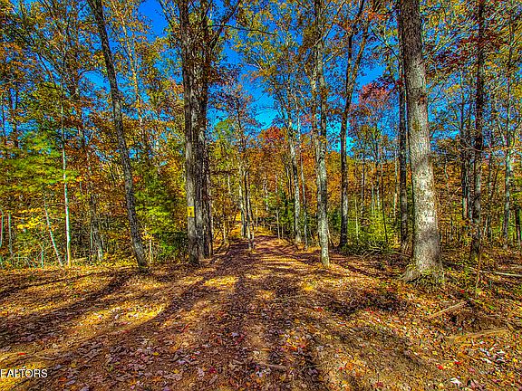 45th image of 2000 E Millers Cove Rd