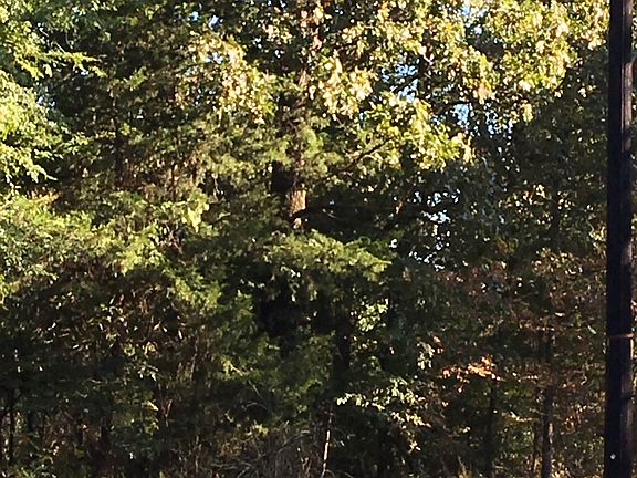 4th image of 0000 SE County Road 4250