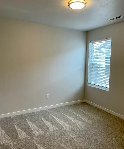 333 S Calf Creek Ave — Photo 9