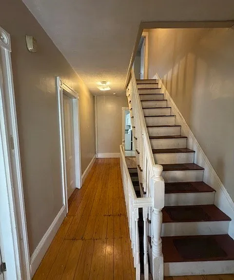 137 Lynde St #2 — Photo 2