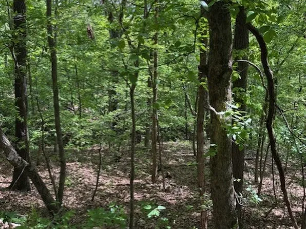 Bude Ln #24, Bella Vista, AR 72714