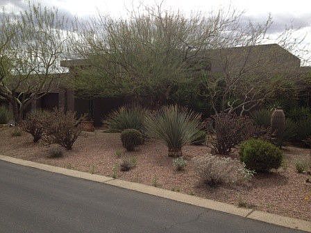 5th image of 25942 N 104th Pl