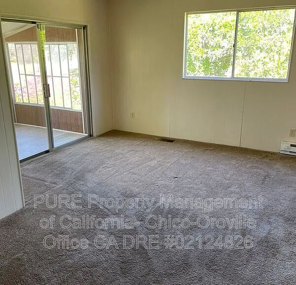 533 Silver Leaf Dr — Photo 11