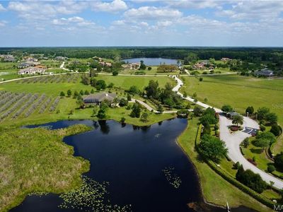 11306 Colonial Downs Ave, Odessa, FL, 33556