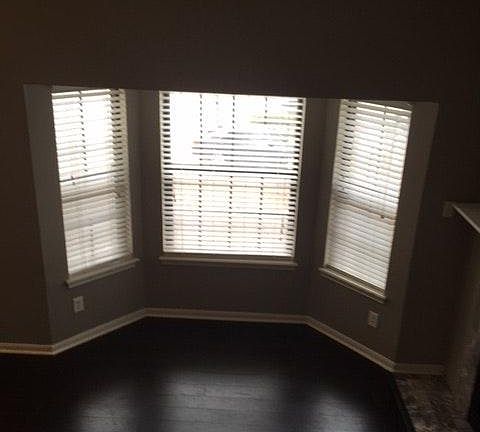 Plethora of Natural Light