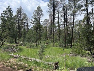 92 Hunter Ave, Timberon, NM, 88350