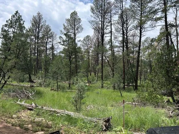 92 Hunter Ave, Timberon, NM 88350