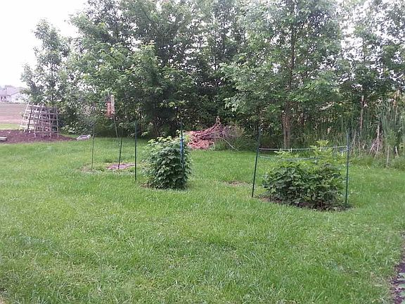 5th image of 4104 N New York Ave